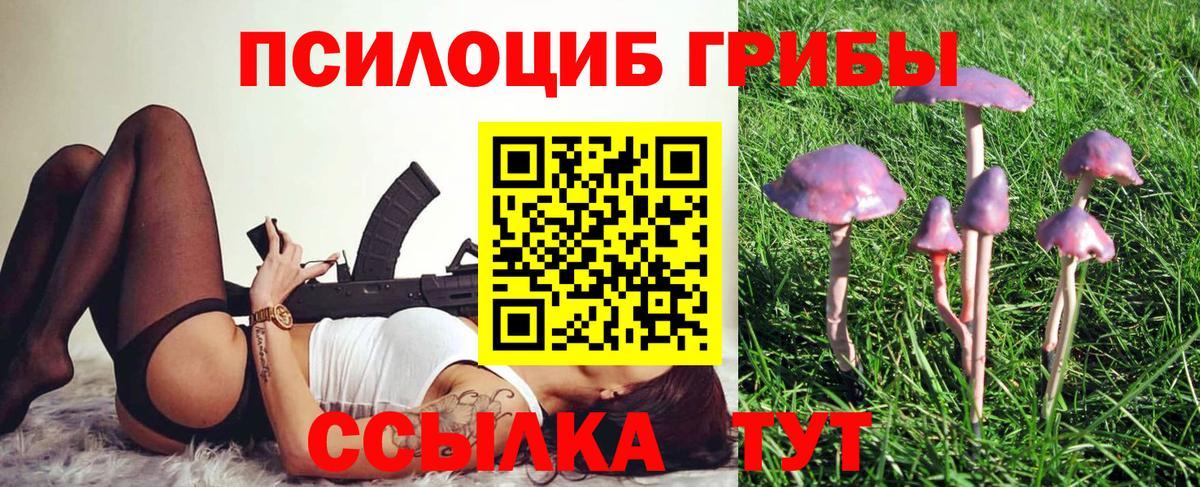 Набережные Челны  Псилоцибиновые грибы прущие грибы  Вход с VPN 